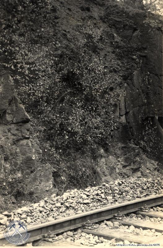 Fotografie : Biotitick� granodiorit porfyrick� s ojedin�l�mi uzav�eninami biotitick� ruly, v. od Ml�nsk�ho potoka, Ml�nsk� potok