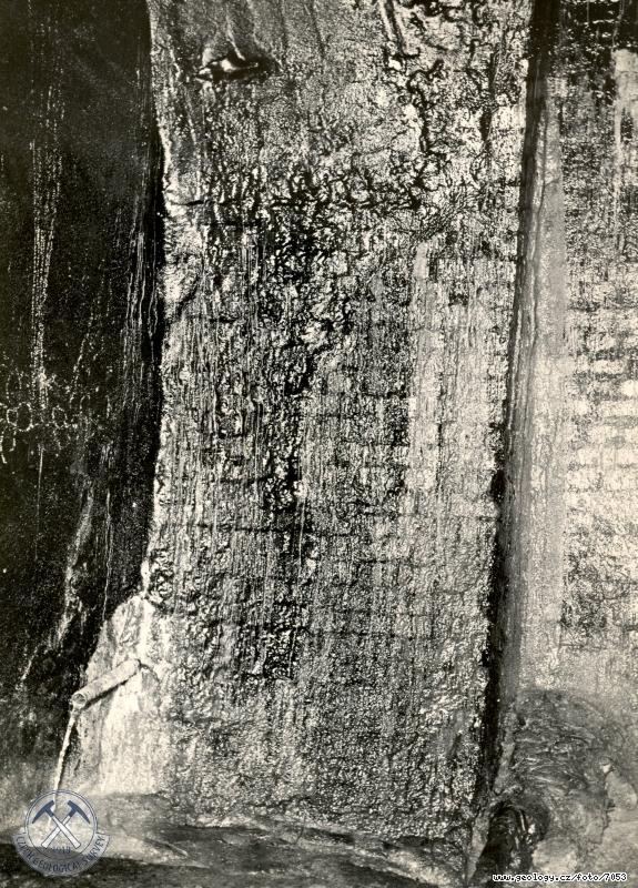 Fotografie : Detail stny v bv.kosk stji.erpac pokus, Krlovsk Po