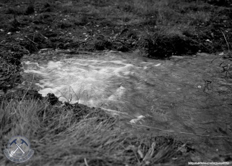 Fotografie : V�rony CO2 do Milhostovsk�ho potoka, Milhostov