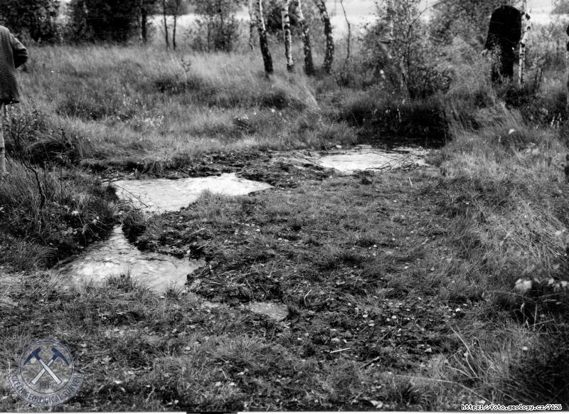 Fotografie : Detail v�ronu CO2 v potoce Plesn�, Franti�kovy L�zn�