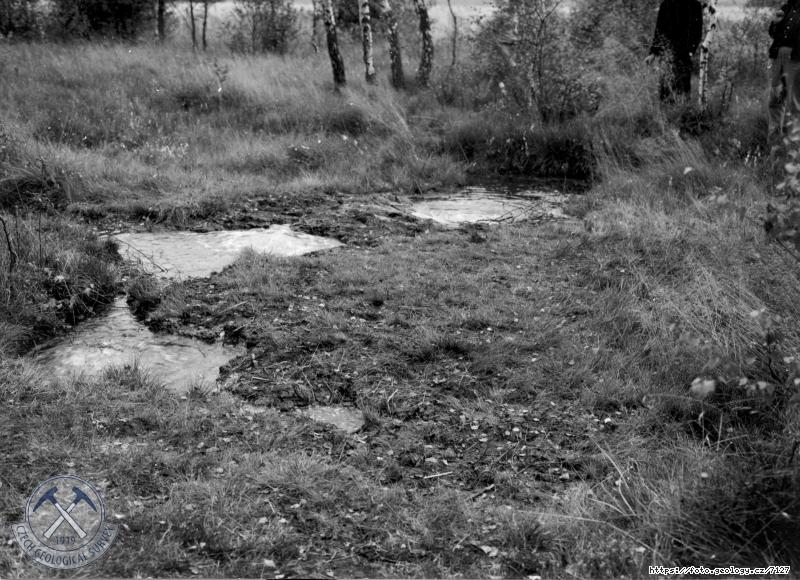 Fotografie : V�rony CO2 do Milhostovsk�ho potoka, Milhostov