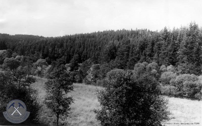 Fotografie : Panorama �dol� potoka u Stanovick�ho ml�na., Zdr� p�ehr.profilu Stanovice