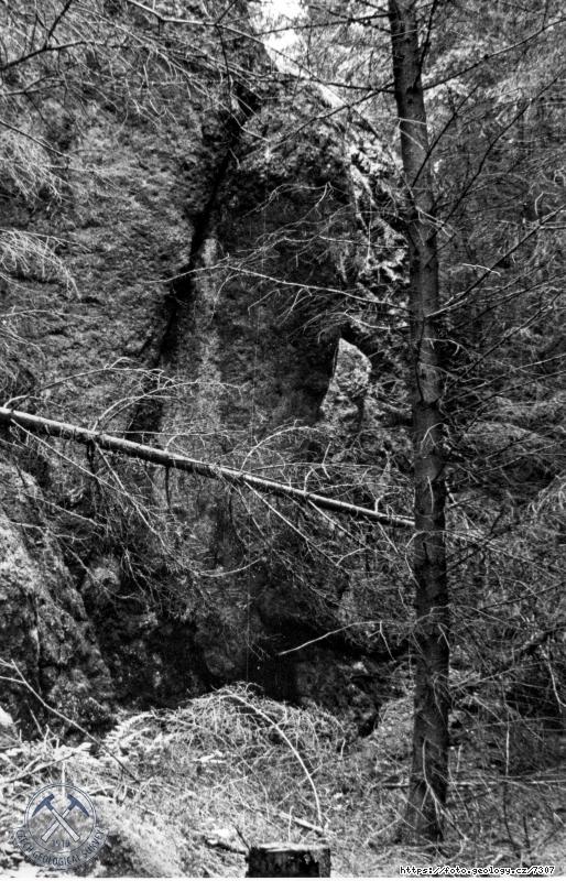 Fotografie : P�ehr.profil Stanovice: Skalka ve sm�ru po proudu od zavalen� �toly �.I. na lev�m b�ehu., Stanovice u Karlov�ch Var�