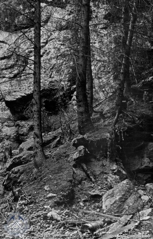 Fotografie : P�ehr.profil Stanovice: Kam�k v bl�zkosti zasut� �toly �.VIII. na prav�m b�ehu., Stanovice u Karlov�ch Var�