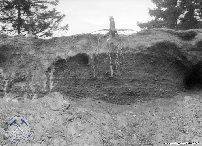 Fotografie : Pyroklastika v odkryvu na východním úpatí Komorní Hůrky, Komorní Hůrka u Chebu