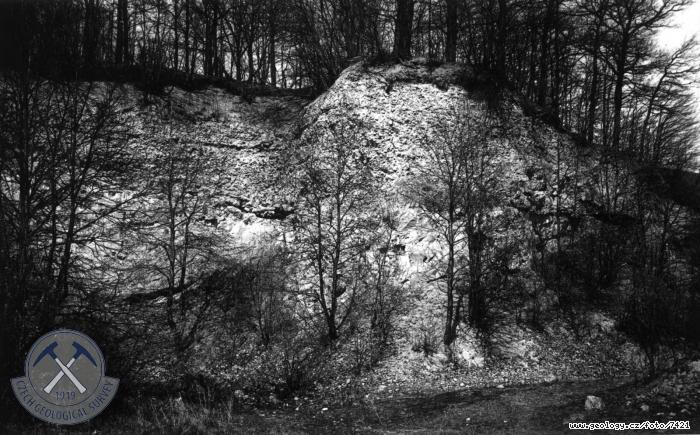 Fotografie : Tortonsk pbojov vpencov trky uloen na devonskch vpencch, oputn lom u sttn silnice Hranice-Valask Mezi asi 1,5 km od ernotna, ernotn