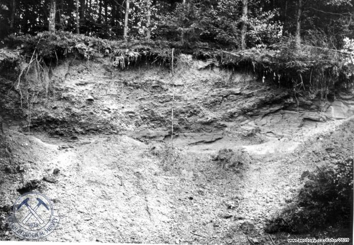 Fotografie : Odkryv v glacilakustrinnch pscch severn od obce Hj s korytem vyplnnm kulmskm materilem., Hj ve Slezku