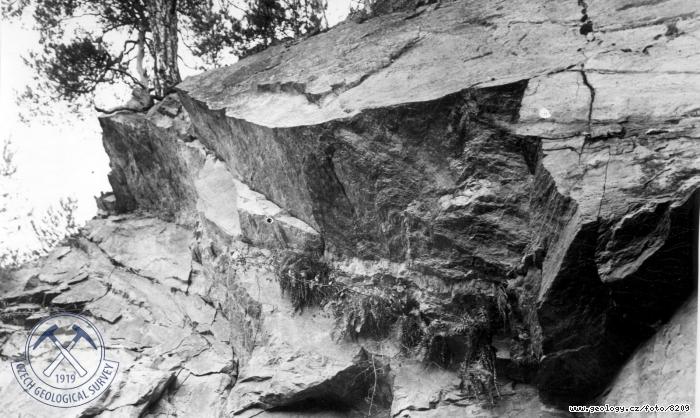 Fotografie : Saln vchoz na pravobenm dolnm svahu Otavy: Poloha aplitick horniny (granodioritu) v migmatitickch rulch., vchodn od Novho Msteka