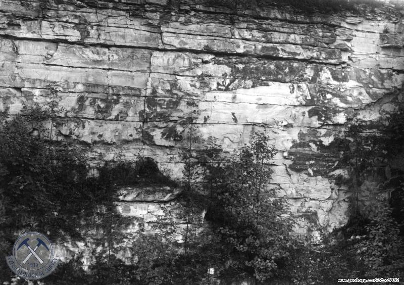 Fotografie : Severn stna oputnho opukovho lomu A.Novotnho na okraji obce pi silnici do Skute, Pibylov