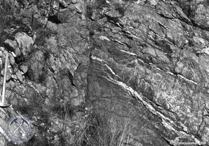 Fotografie : Geol.reservace: Kemenn ly v ordovickch kvarcitech., Rabtejnsk Lhota