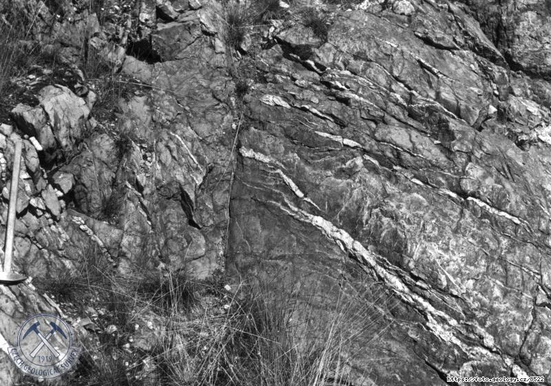 Fotografie : Geol.reservace: K�emenn� ��ly v ordovick�ch kvarcitech., Rab�tejnsk� Lhota