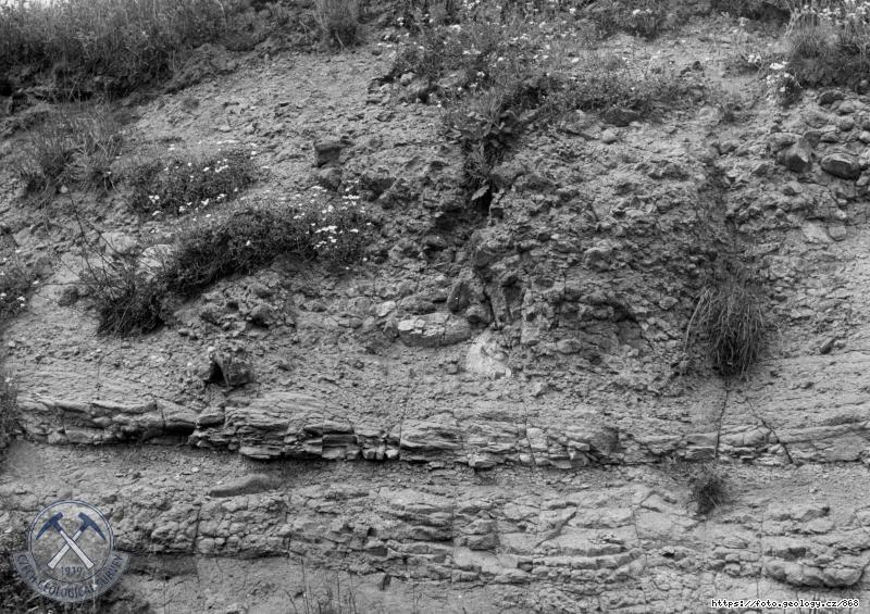 Fotografie : , Bene�ov nad Plou�nic�