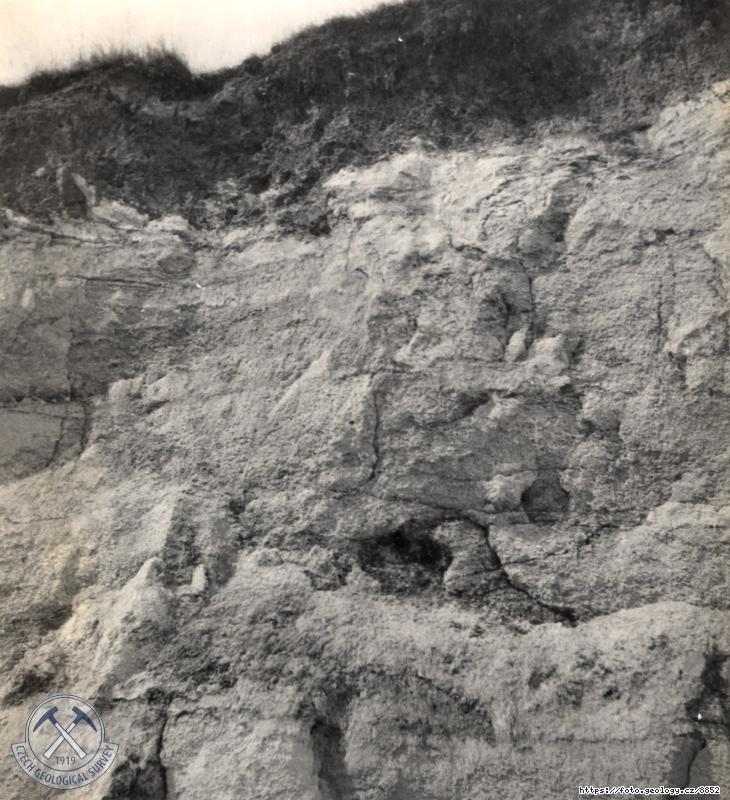 Fotografie : P�ed Tym�kovem p�i silnici z Ejpovic do Tym�kova. P�skovn�k v karbonsk�m kaolinick�m p�sku. Dole karbon a nad n�m solifluk�n� �lut� hl�na s k�emencovou drt�, Tym�kov