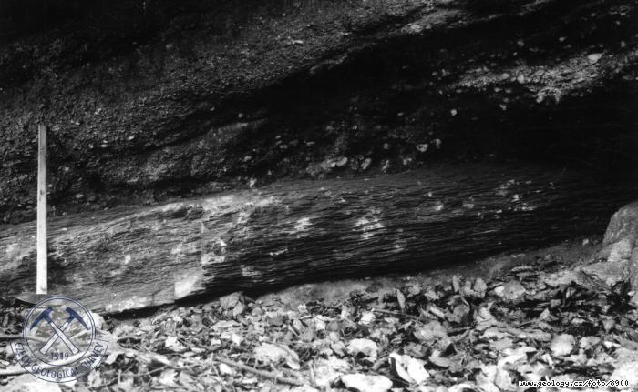 Fotografie : Kritofovy kameny, detail spodnho araukaritu., Odolov