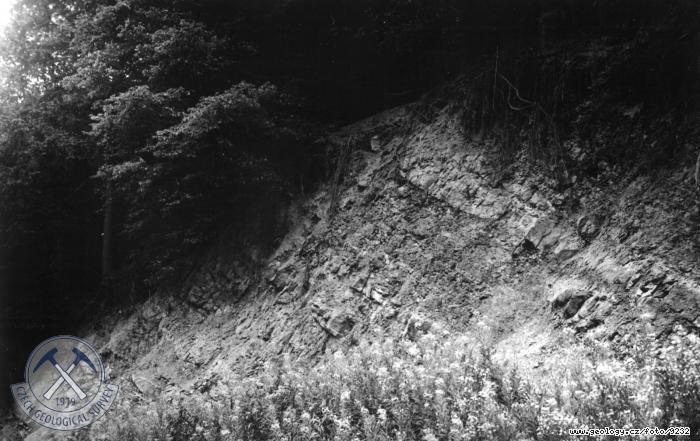 Fotografie : Nejvt st Havlenova odkryvu za tovrnou poloen nejvce na jih., abokrky