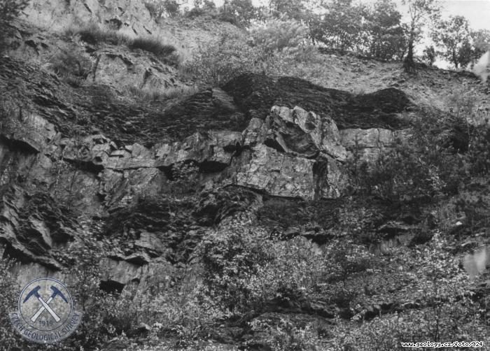 Fotografie : Stdn svtlch kvarcit s ernmi jlovmi bidlicemi v oputnm lomu pi silnici Beroun - Hskov, Pleivec