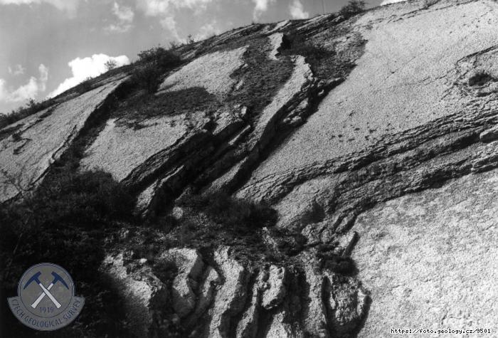 Fotografie : Branick hlznat vpence, Chote