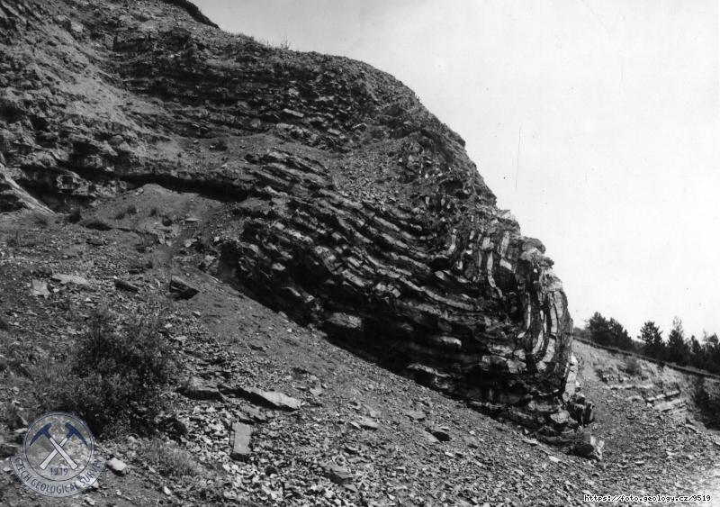 Fotografie : Z�p. okraj konce osady na cest� k Chuchelsk�mu h�ji, lom - �ikm� vr�sa v basi v�penc� bud�ansk�, silur., Velk� Chuchle