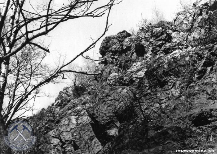 Fotografie : Algonkick bulinky v dol reckho potoka., Doln Liboc