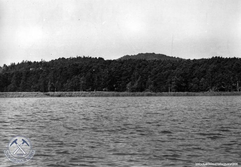 Fotografie : Zar�st�n� M�chova jezera, M�chovo jezero