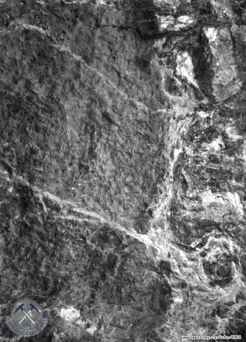 Fotografie : Detail profilu s mikrotektonikou. Jezern slny, star pleistocen., Pezletice u Prahy