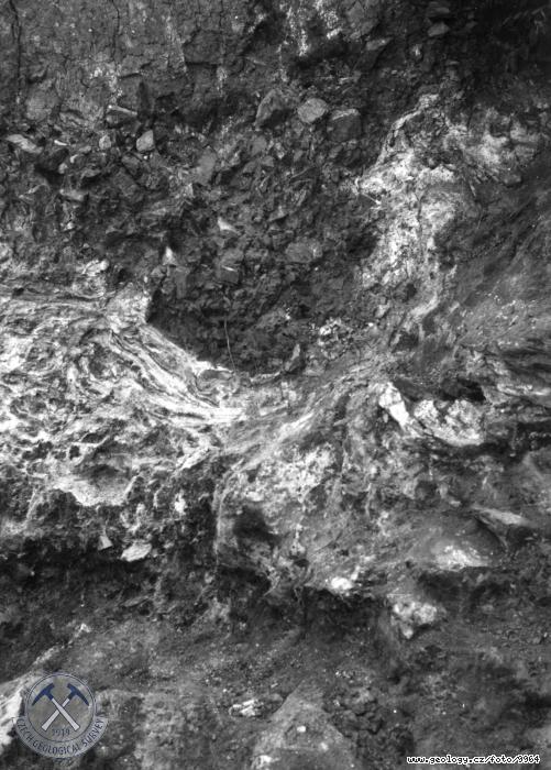 Fotografie : Detail profilu s mikrotektonikou. Jezern slny, star pleistocen., Pezletice u Prahy