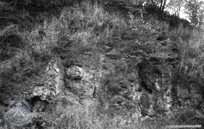 Fotografie : Odlunost autometamorfovan ediov horniny - odkryv v zezu silnice vch. od obce., jezd u Trunic