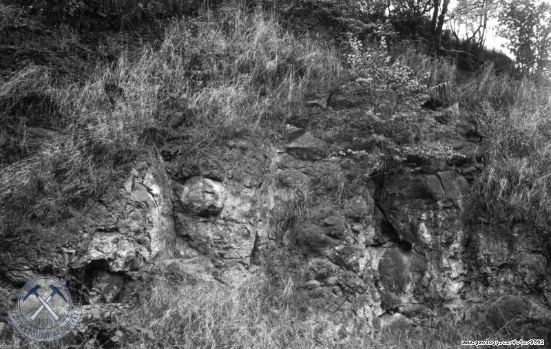 Fotografie : Odlunost autometamorfovan ediov horniny - odkryv v zezu silnice vch. od obce., jezd u Trunic